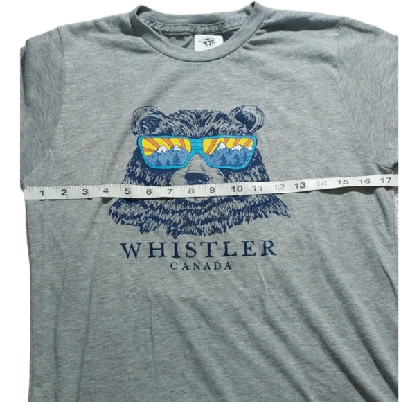 Whistler Reflect Mountain Bear T-Shirt Youth Men Heather/Grey Medium - Picture 2 of 4
